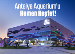 Antalya Aquarium'da Mavi Suları ve Rengarenk Balıkları Keşfet! !!
