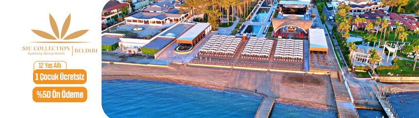 Aydınbey Siu Collection