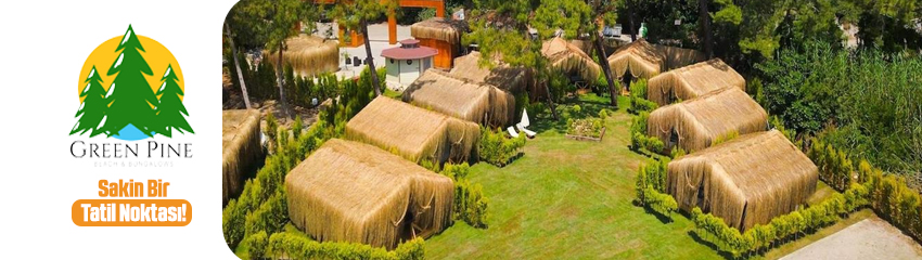 Green Pine Beach Bungalows Luxury Concept