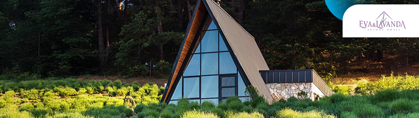 Eva Lavanda Kazdağları