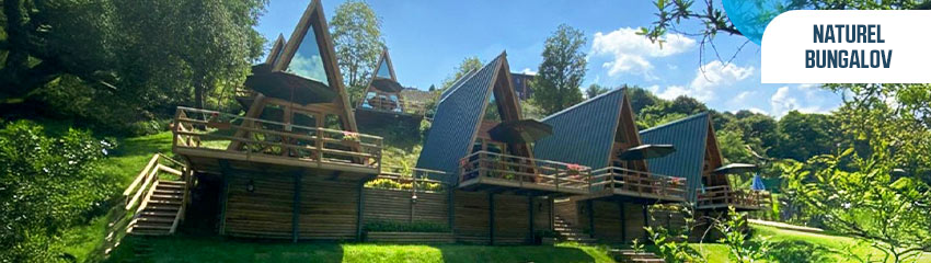 Naturel Bungalov