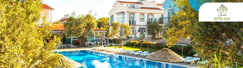 Zeytin Arası Taş Evler