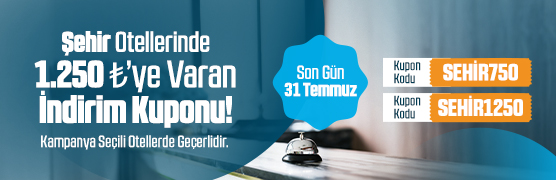couponCampaignsImg