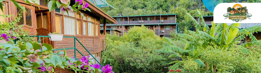 Türkmen Tree Houses