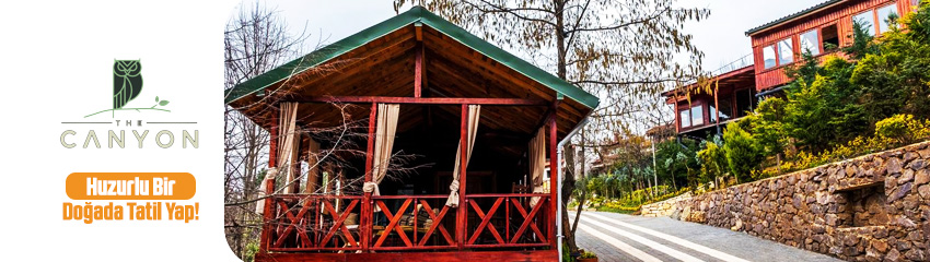 The Canyon Hotel Resort