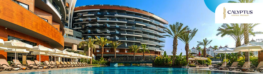 Calyptus Kirman Premium