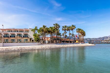 Palmetto Resort