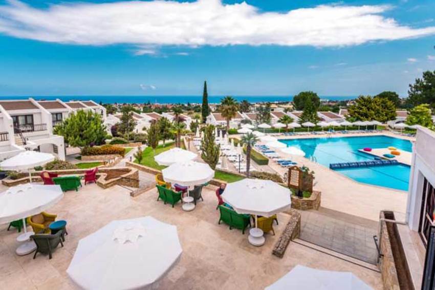 The Hotel Olive Tree