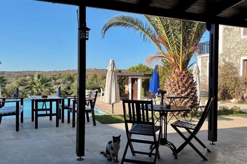 Siesta Otel Bozcaada