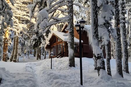 Karinna Orman Köşkleri