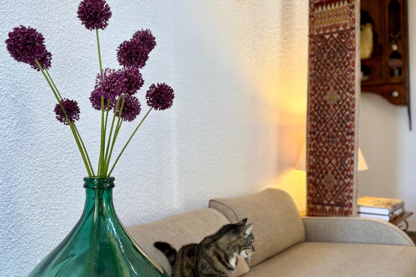 Villa Tokur Butik Hotel