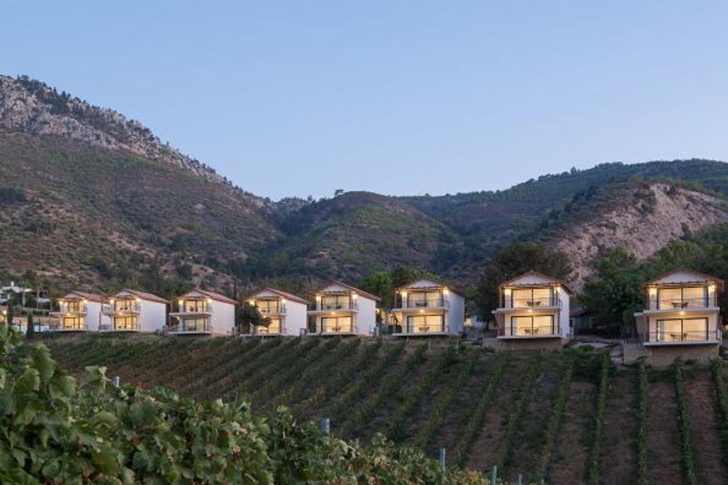 Gillham Vineyard Hotel