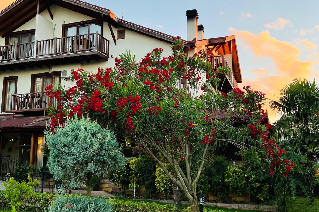 Cevizdibi Otel