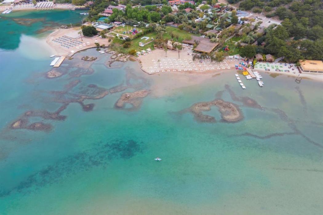 The Sugar Beach Club Hotel
