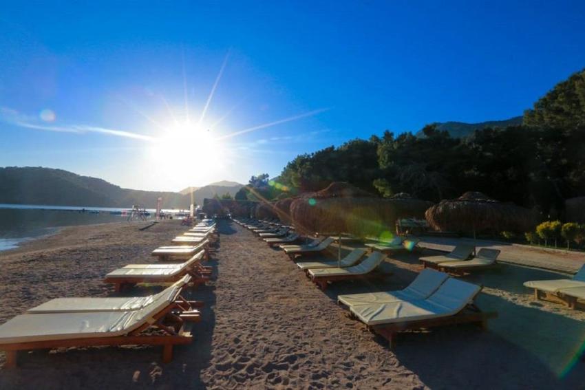 Green Pine Beach Bungalows Luxury Concept