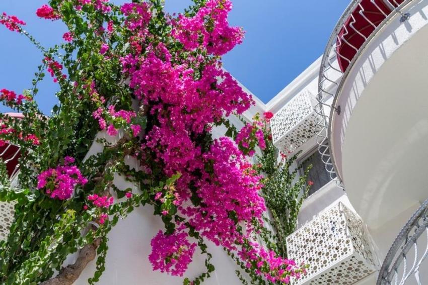 La Brezza Suıte Hotel Akyarlar