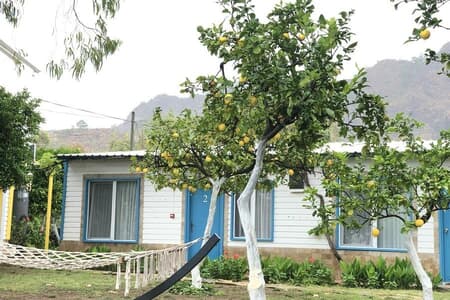 Marina Loft Çıralı