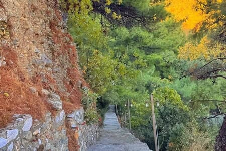 Antik Vadi Bungalow Otel Kazdağları
