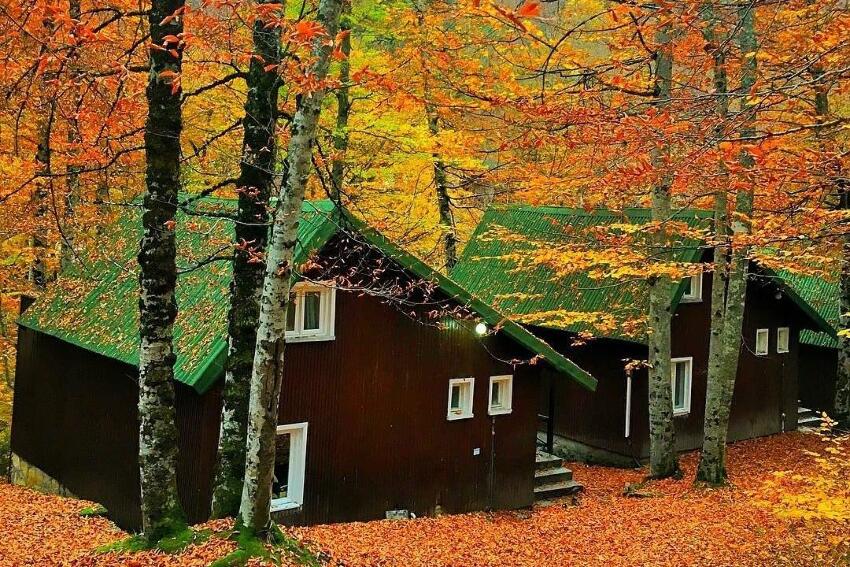 Habitat Mesire Bungalov Evler