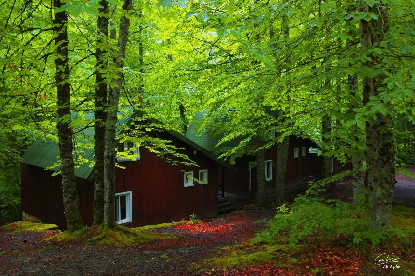 Habitat Mesire Bungalov Evler