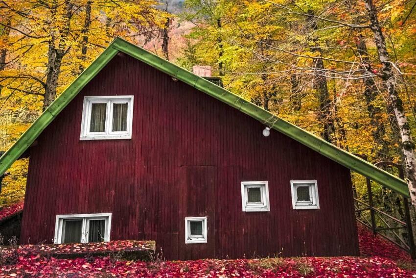 Habitat Mesire Bungalov Evler