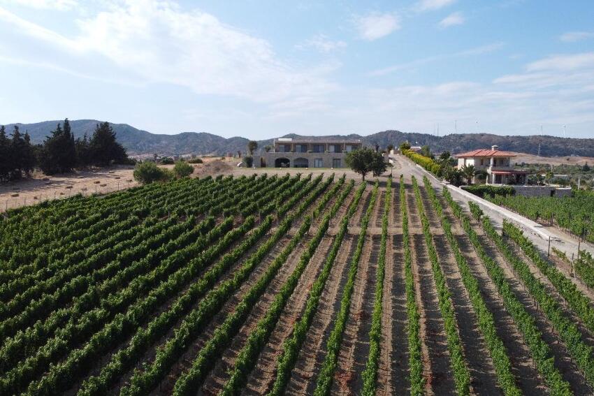 Datça Vineyard Guesthouse (+14)