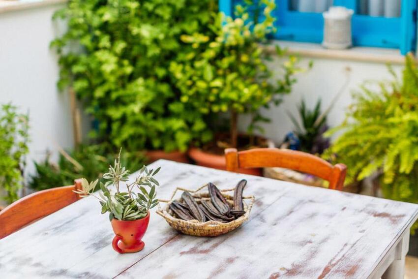 Cypriot Swallow Hotel