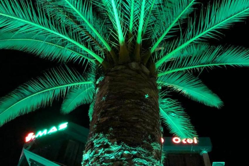 Akçay Mas Palmiye Otel