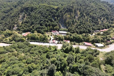 Feel Live Hotel Sapanca Feel Live Hotel Sapanca
