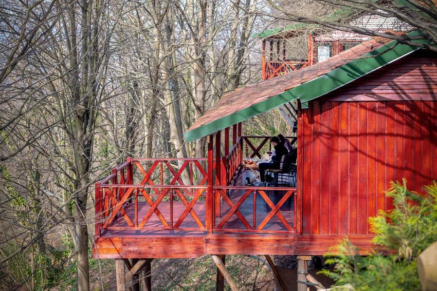 The Canyon Hotel Resort