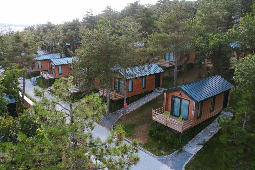 Nefes Dağyenice Doğada