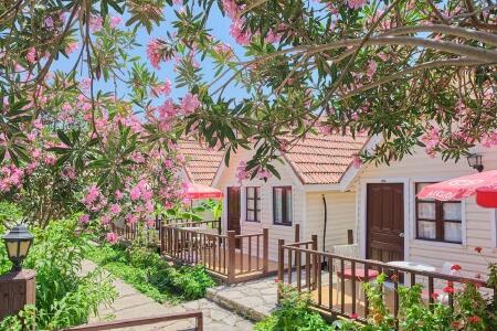 Clover Magic Nova Beach