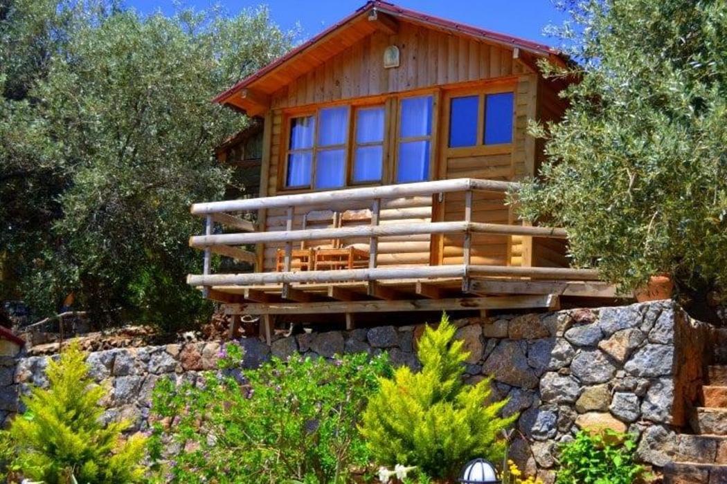 Olive Garden Kabak