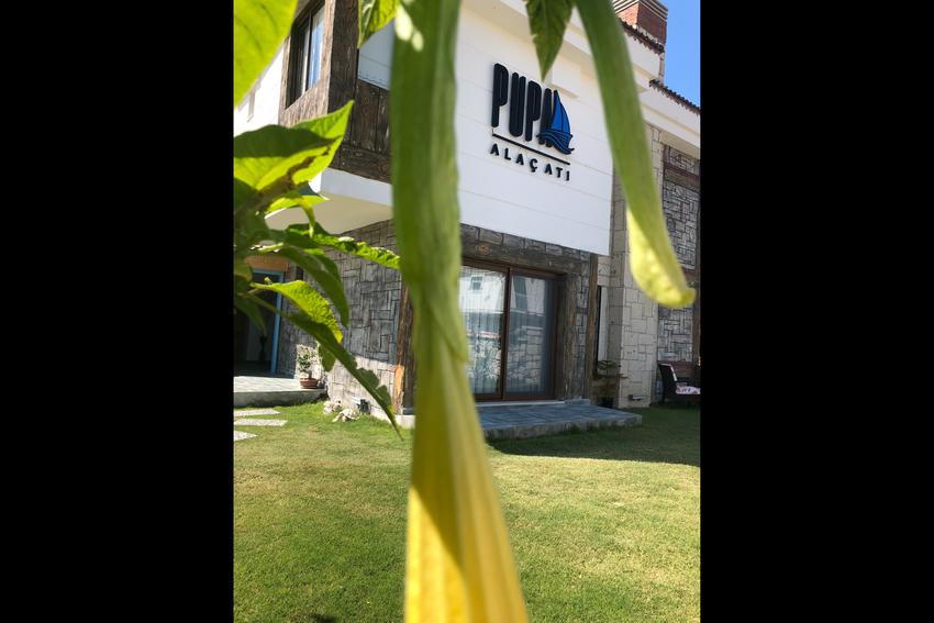 Pupa Alaçatı