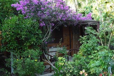 Myland Hotel Çıralı