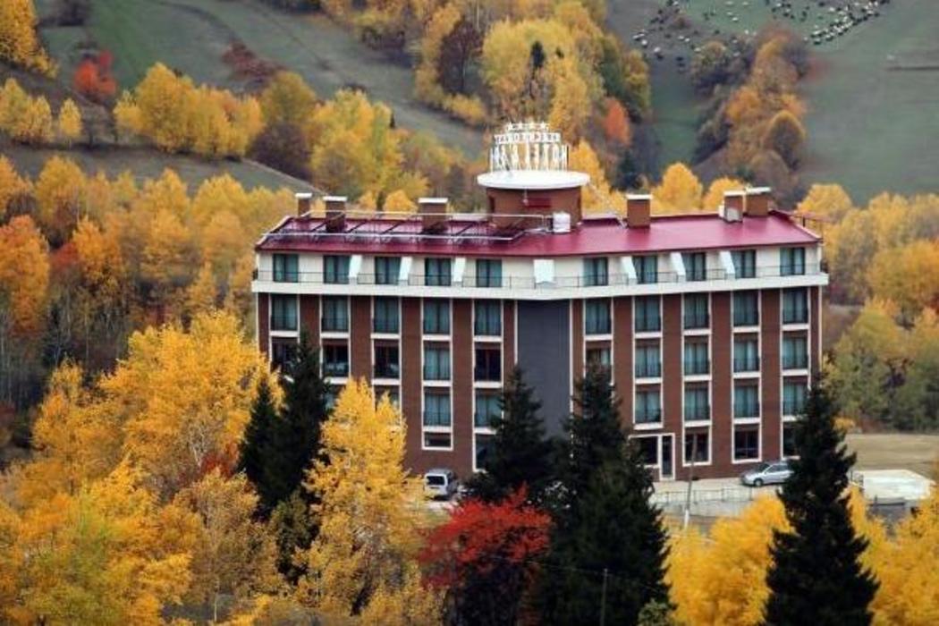 Black Forest Hotel