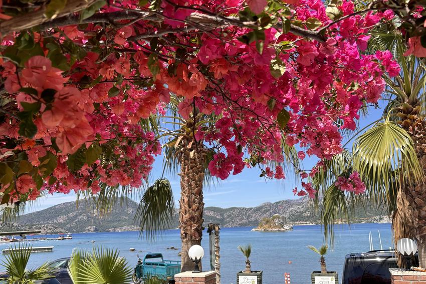 Dut Selimiye (+14 Adult Only)