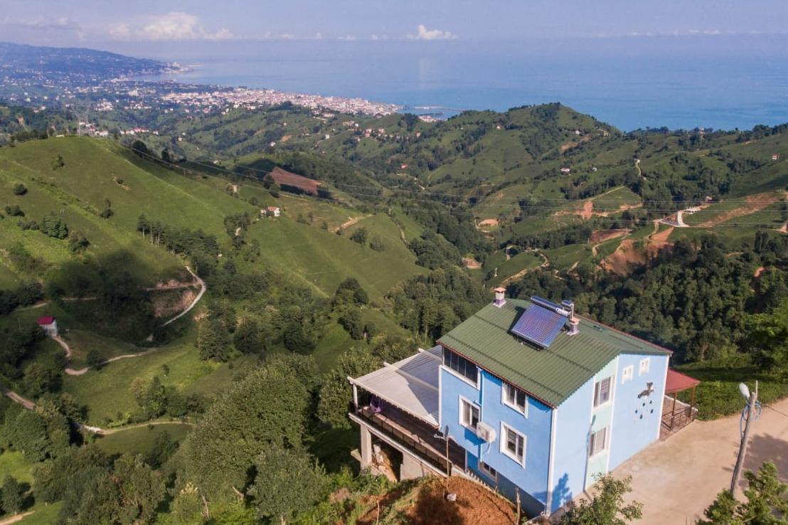 Eloi Suit Bungalov