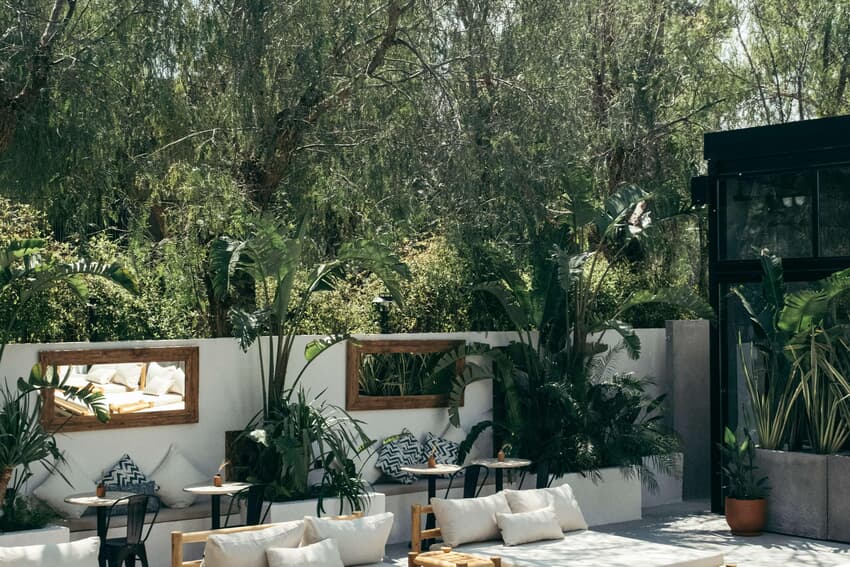 Primus Nefes (+16 Adult Only)