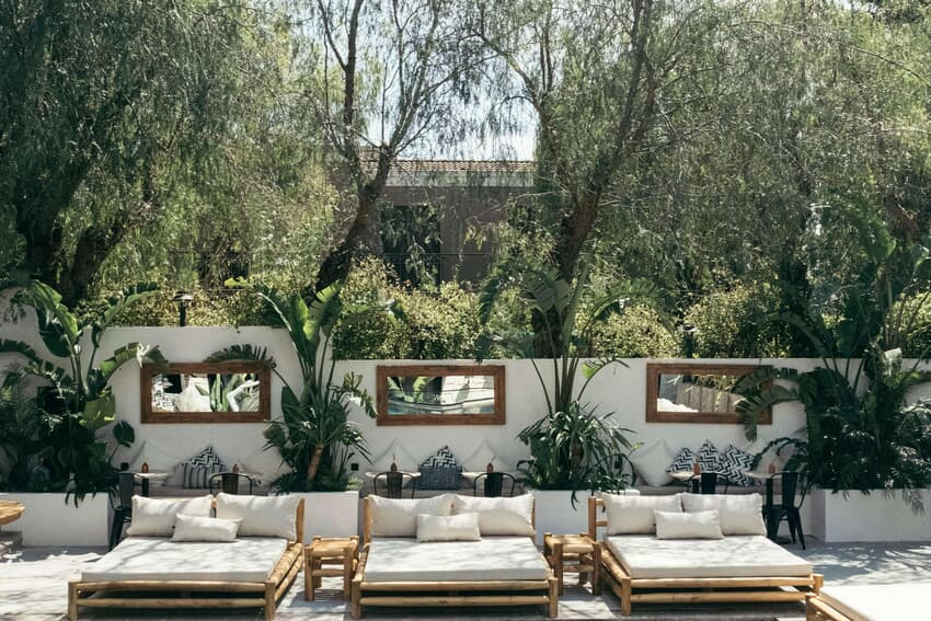 Primus Nefes (+16 Adult Only)