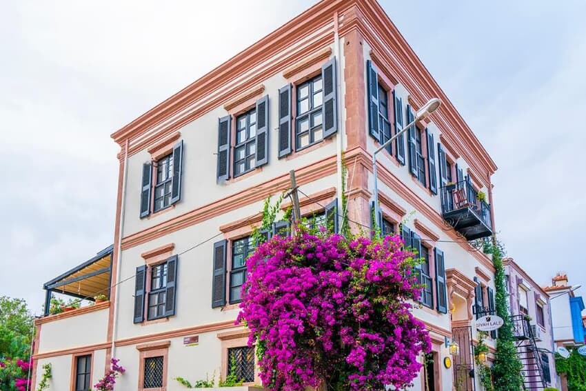 Siyah Lale Cunda 1841