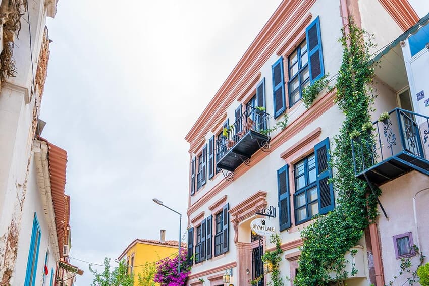 Siyah Lale Cunda 1841