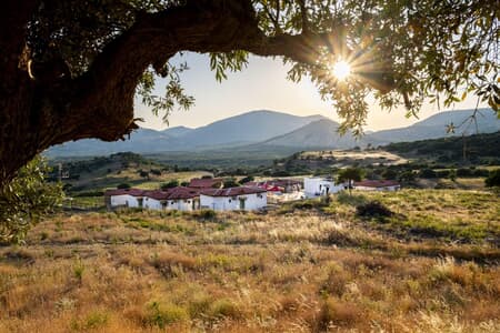 Melissa Otel Melissa Otel