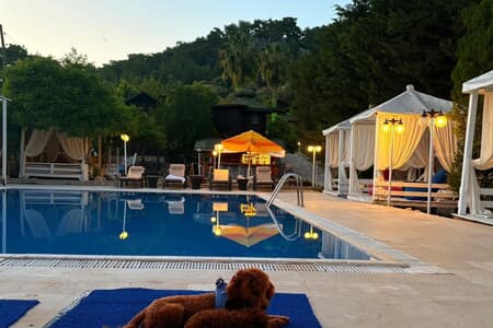 Olympos Talara By Arzum