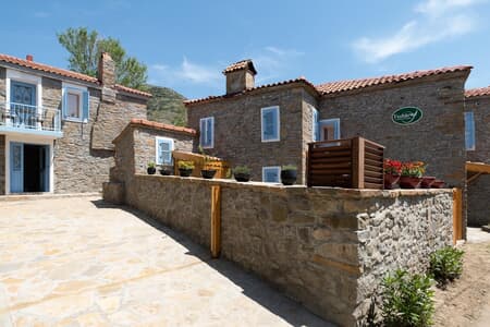 Feride Fonksiyonel Yaşam Feride Fonksiyonel Yaşam