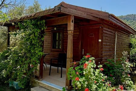 Sempati Ağaç Evleri