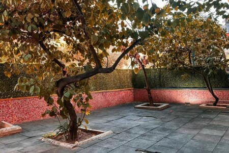 Life Artemis Bornova