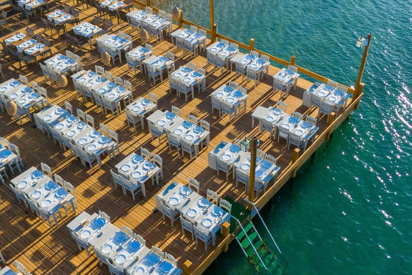 Orkide Bodrum