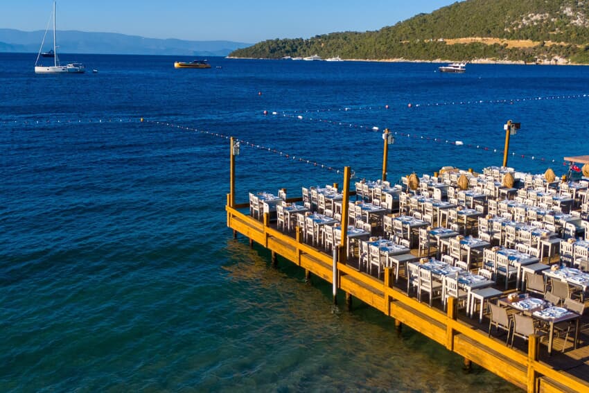 Orkide Bodrum