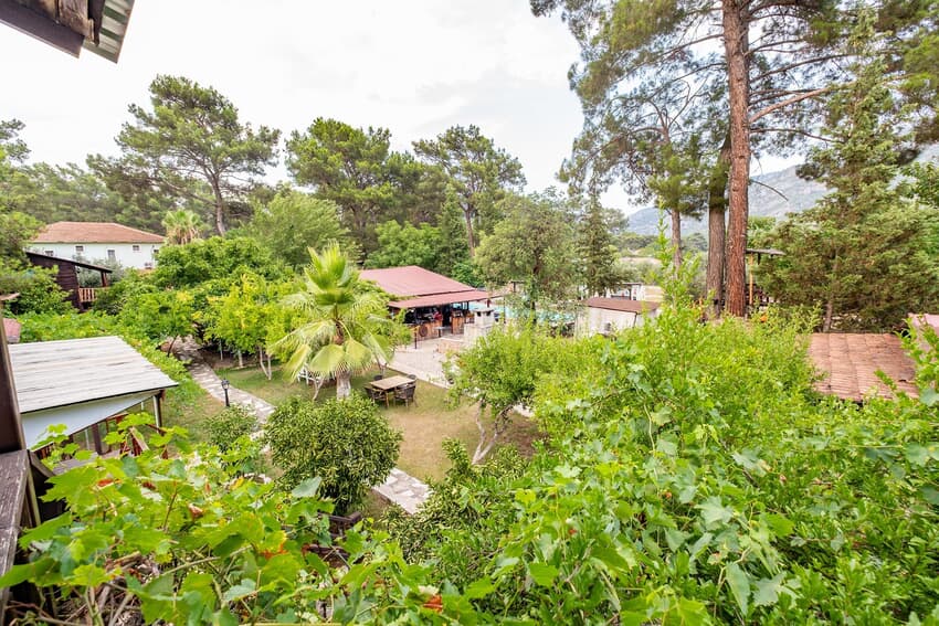 Sunthalia Olympos